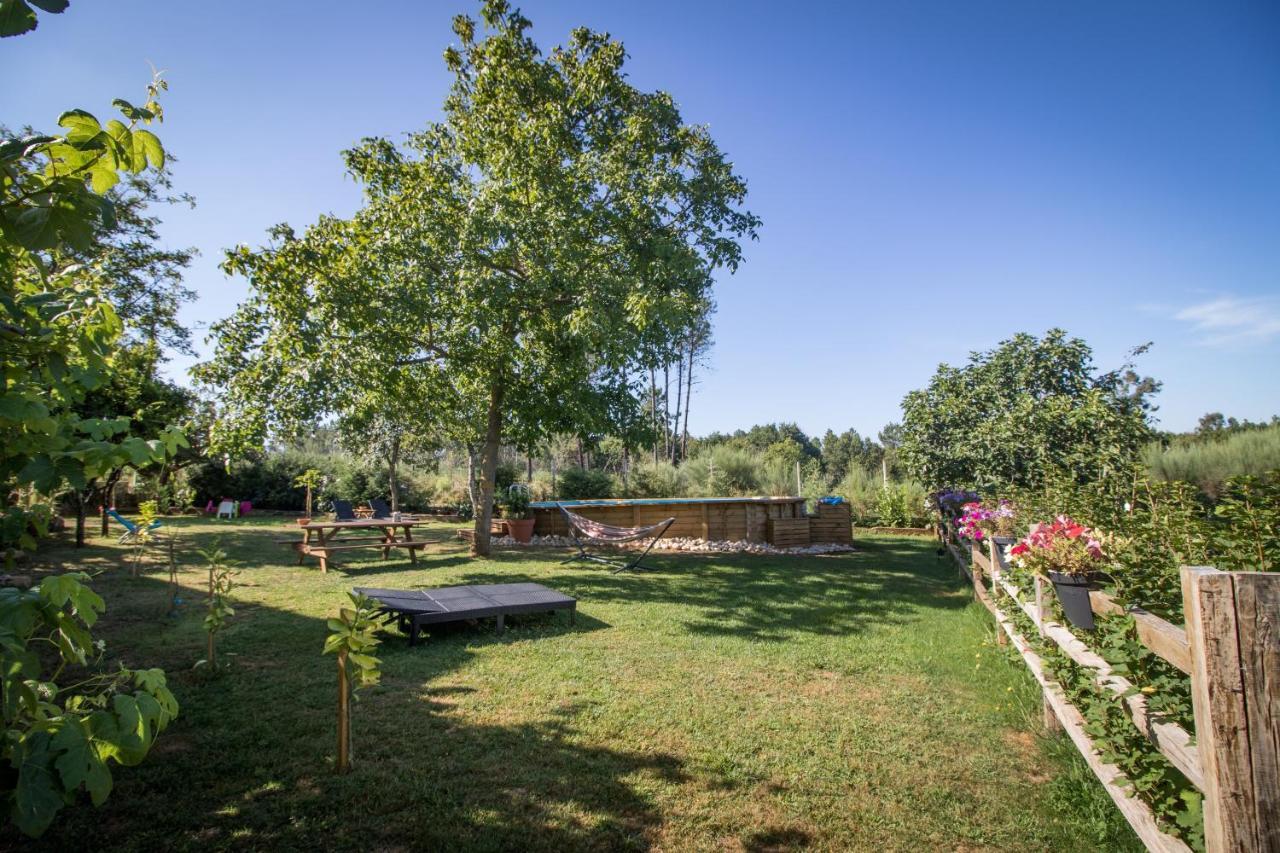 Ferienwohnung Quinta Vale Salgueiro Seia Exterior foto