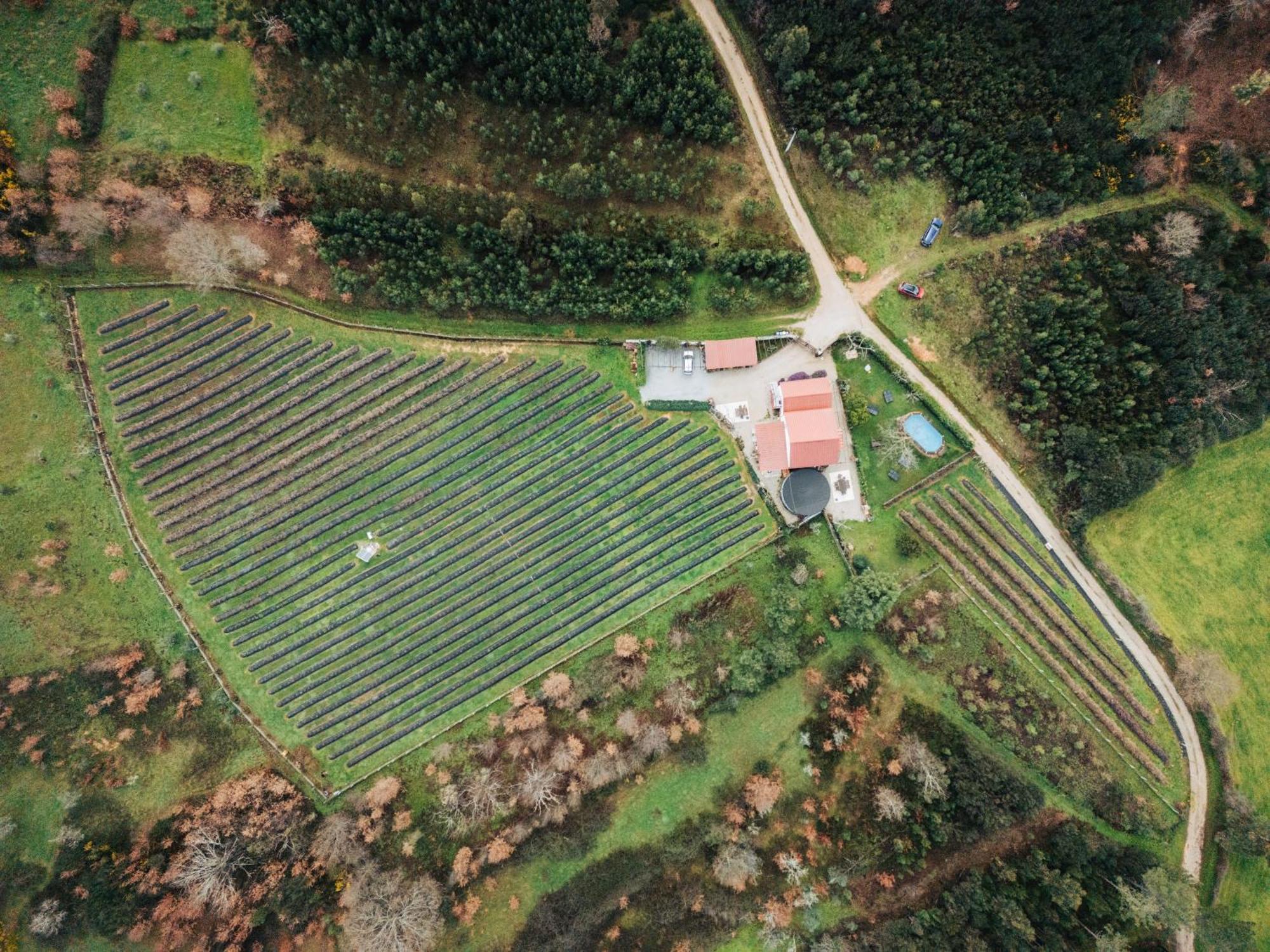 Ferienwohnung Quinta Vale Salgueiro Seia Exterior foto