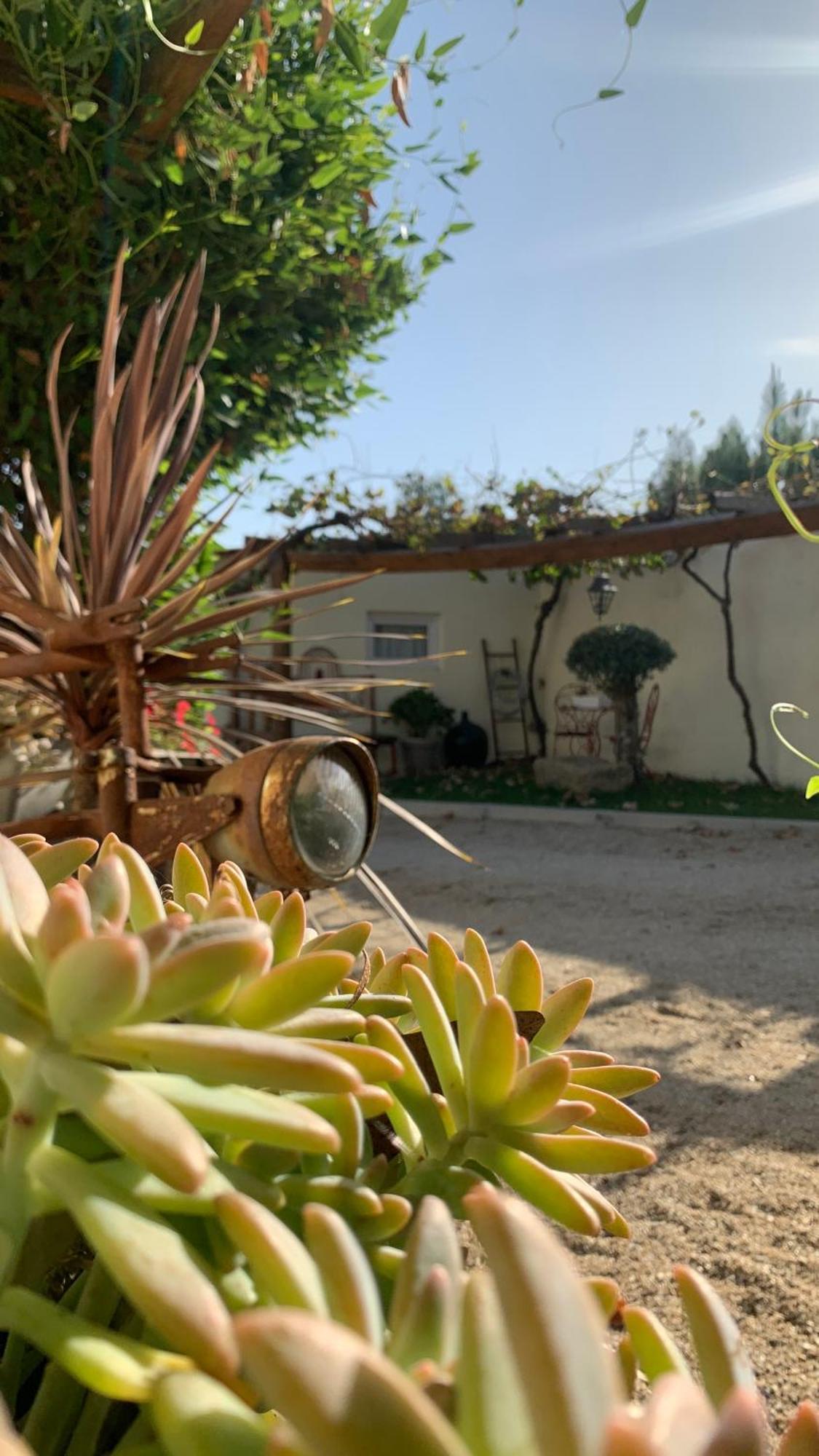 Ferienwohnung Quinta Vale Salgueiro Seia Exterior foto